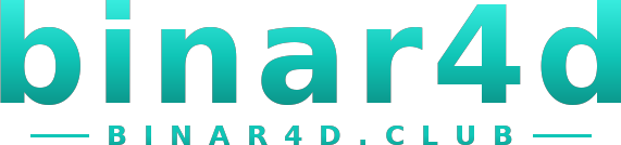binar4d logo